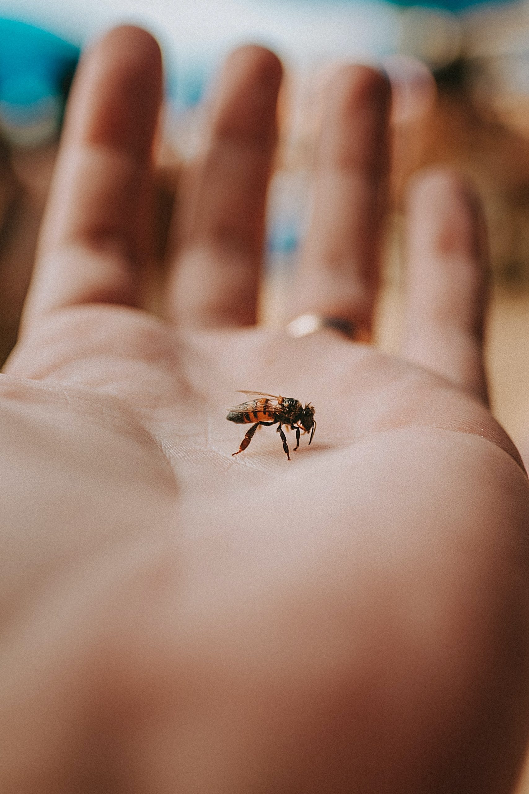 eduardo gorghetto 1m3QpFT2e2U unsplash