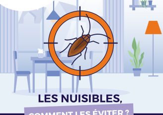 Solova FlyerBlattes