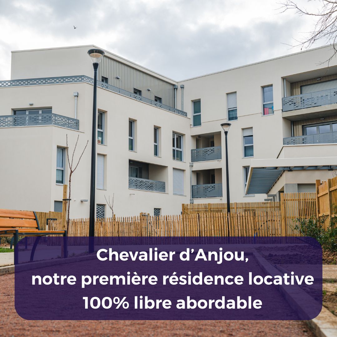 LLI Argument chevalier d'Anjou