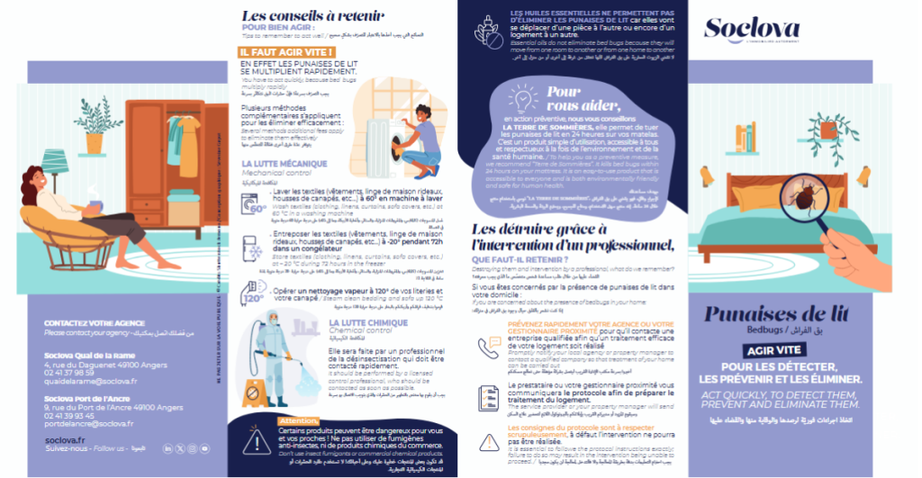 punaises de lit flyer punaises de lit flyer