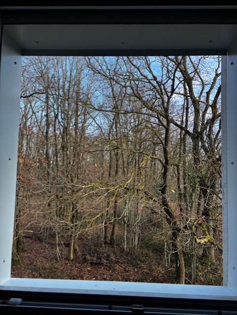 85feec6c 3ba9 464d b0a1 3b80c788230c