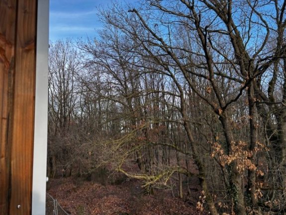 86f46484 f0a0 4c37 95b1 daec680f682d